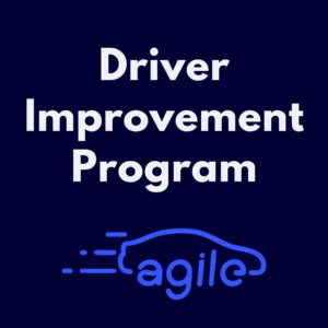 Driver Improvement Program Online